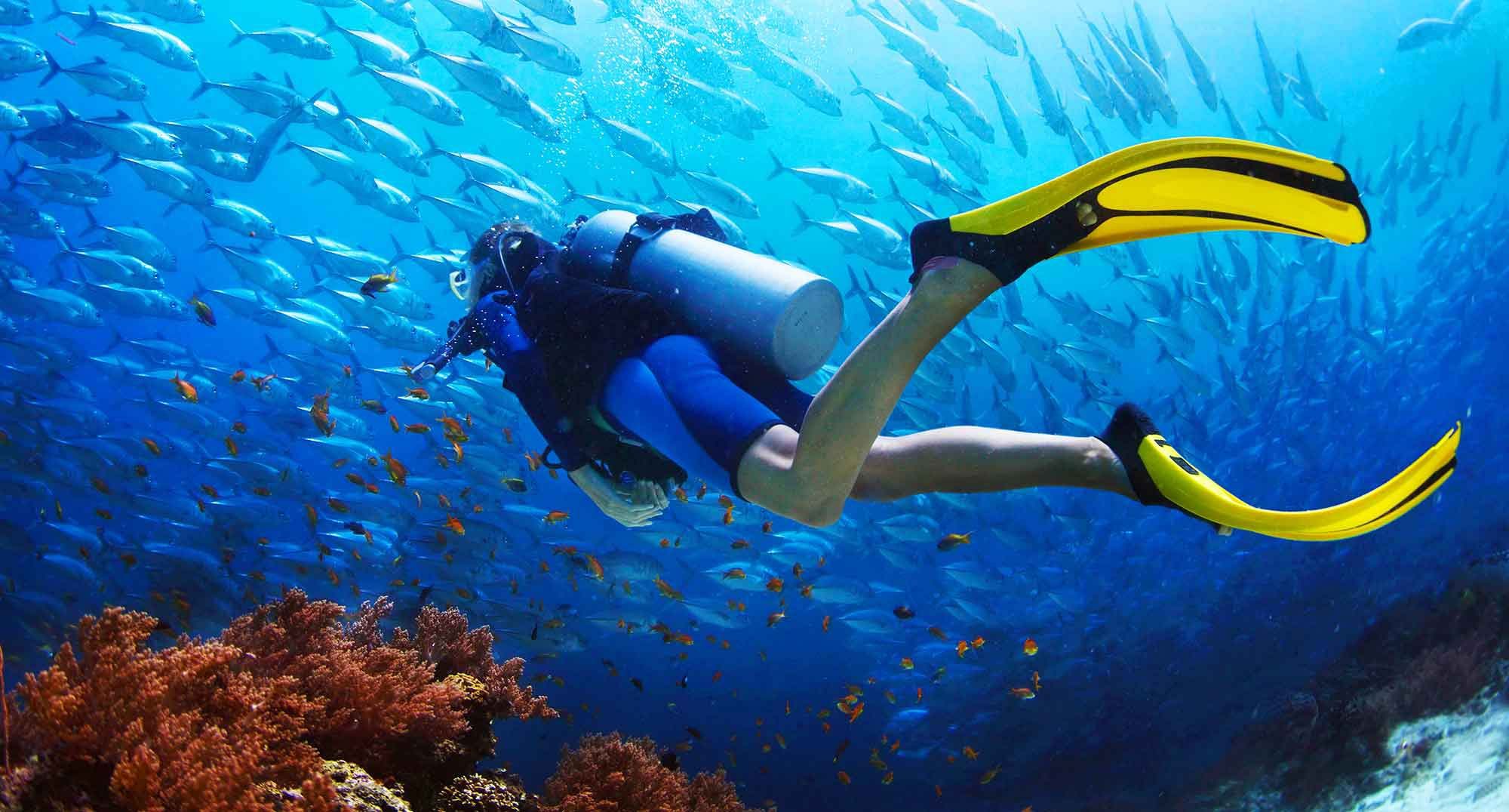 Diving Tour Antalya
